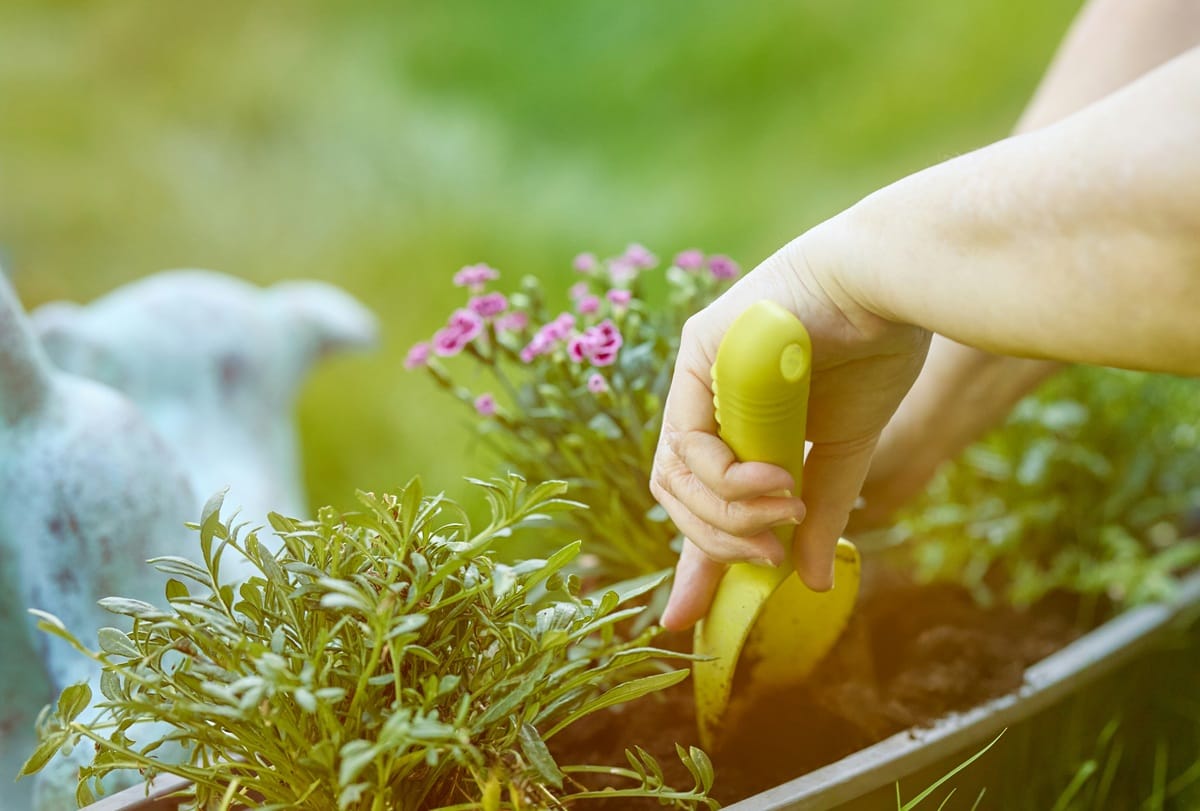 Ogród nowoczesny – charakterystyka i inspiracje