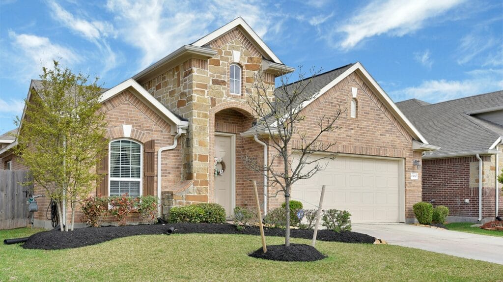 Jakie rośliny do ogrodu?