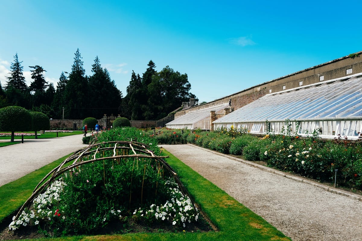 Oświetlenie ogrodu – jak i gdzie je zaplanować?